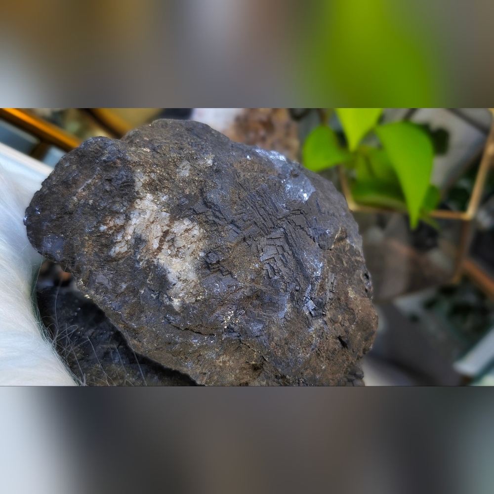 Rare Large Galena & Pyrite Quartz Specimen